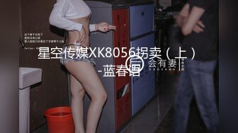 星空传媒XK8056拐卖（上）-蓝春语