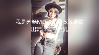 我是苏畅MD-0190-5海滩露出玩弄雪白巨乳