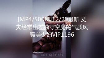 [MP4/500M]12/29最新 丈夫经常出差独守空房的气质风骚美少妇VIP1196