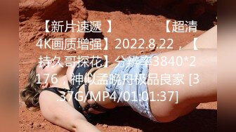 【新片速遞 】 ♈ ♈ ♈ 【超清4K画质增强】2022.8.22，【持久哥探花】分辨率3840*2176，神似孟晚舟极品良家 [3.37G/MP4/01:01:37]