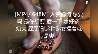 STP22685 顶级冷艳颜值美女和炮友激情3小时大秀&nbsp;&nbsp;半脱下内裤翘起屁股特写&nbsp;&nbsp;大屁股上位骑乘&nbsp;&nbsp;进进出出抽插&nbsp;&nbsp;第