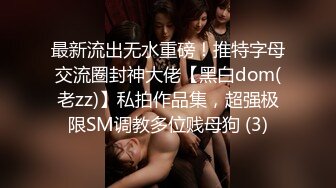 最新流出无水重磅！推特字母交流圈封神大佬【黑白dom(老zz)】私拍作品集，超强极限SM调教多位贱母狗 (3)