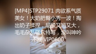 [MP4]STP29071 肉欲系气质美女！大奶肥臀小秀一波！掏出奶子揉捏，屁股又翘又大，毛毛杂乱骚穴特写，浪叫呻吟不断 VIP0600