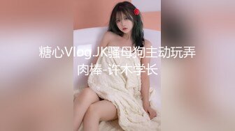 糖心Vlog.JK骚母狗主动玩弄肉棒-许木学长