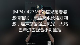 [MP4/ 427M] 勾搭兄弟老婆激情啪啪，黑丝高跟长裙好刺激，淫声荡语强上扒光，大鸡巴草进去配合小哥抽插