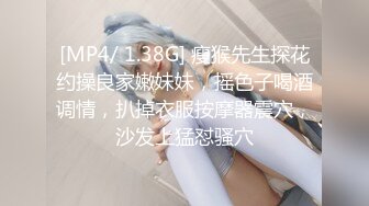 MSD-162 静静 美女教师的淫情教育 极品女教师的鞭策调教 麻豆传媒映画