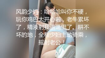 真实（潮汕）出租房艹情趣内衣少妇（2）