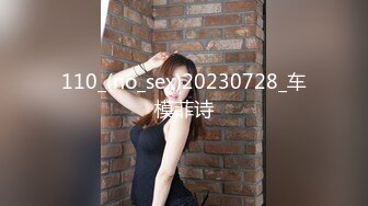 110_(no_sex)20230728_车模菲诗