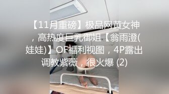 【11月重磅】极品网黄女神，高热度巨乳御姐【翁雨澄(娃娃)】OF福利视图，4P露出调教紫薇，很火爆 (2)