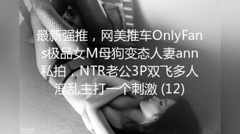 最新强推，网美推车OnlyFans极品女M母狗变态人妻ann私拍，NTR老公3P双飞多人淫乱主打一个刺激 (12)