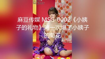 麻豆传媒 MSG-0002《小姨子的礼物》第一次爆了小姨子的菊花