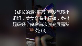 深夜跟甜美小少妇玩个车震，温柔的口交奶子不小玩个乳交，主动插入爆草下车后入深夜里的呻吟好刺激