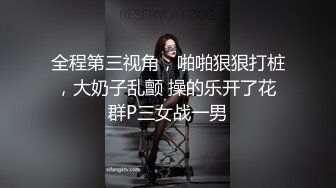 全程第三视角，啪啪狠狠打桩，大奶子乱颤 操的乐开了花 群P三女战一男